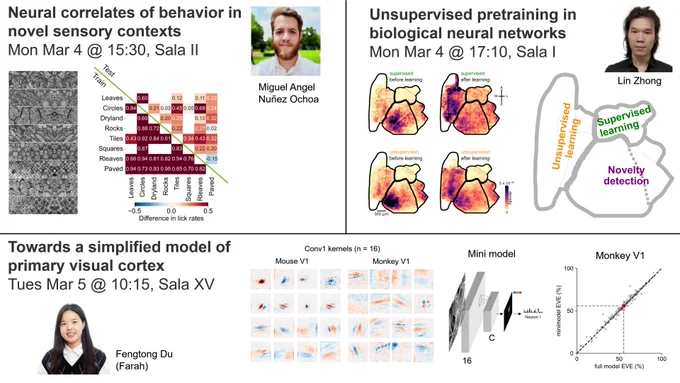 Neural correlates of behavior in novel sensory contexts, Mon Mar 4 @ 15:30, Sala II; Unsupervised pretraining in biological neural networks, Mon Mar 4 @ 17:10, Sala I; Towards a simplified model of primary visual cortex, Tues Mar 5 @ 10:15, Sala XV

