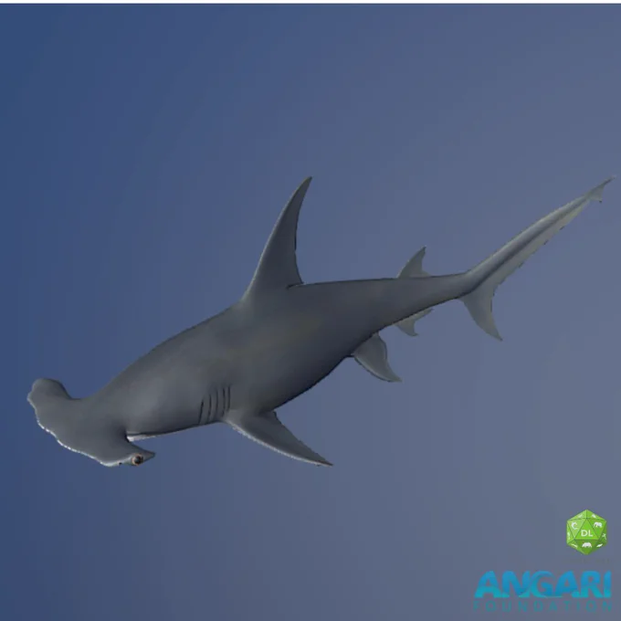 World Wildlife Day 2024 Great Hammerhead