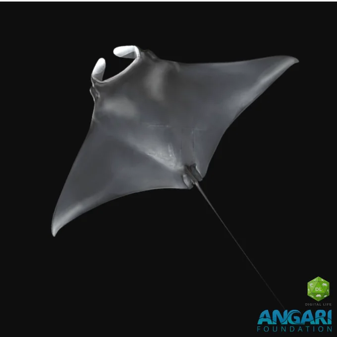 World Wildlife Day 2024 Giant Manta Ray
