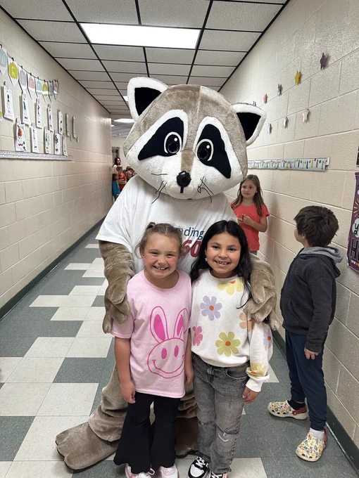 Racoon