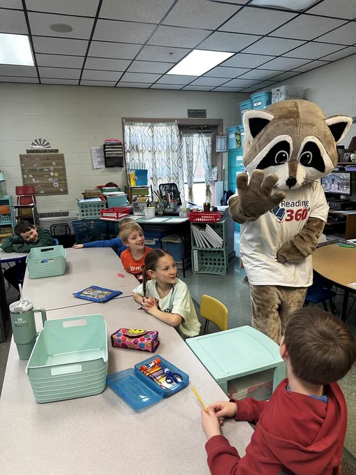 Racoon