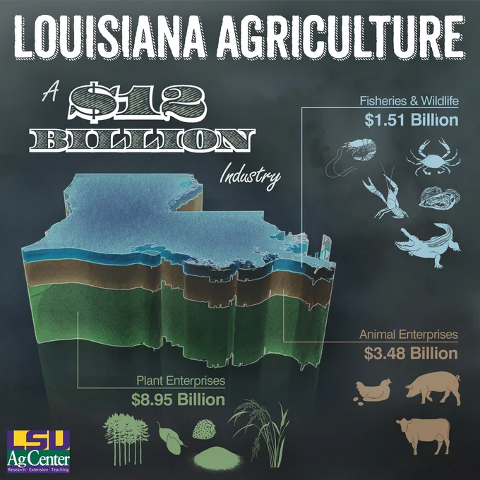 Louisiana agriculture a $12 billion industry.