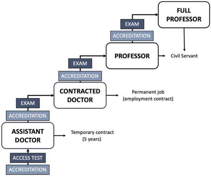 Figure 1. Academic career path in Spain.