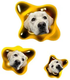 a gold lab's face is photoshopped on top of X Parasites from Metroid Dread