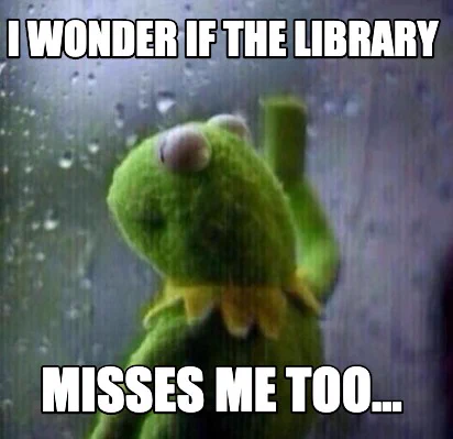 Kermit the Frog looking out of a rainy window.
Caption reads 'I wonder if the library misses me too...'
