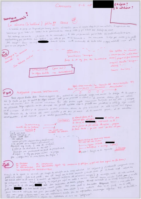 Author's colourful handwritten fieldnotes.