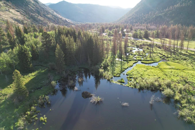 A beaver wetland in the middle of the Cameron Peak Fire burn scar with vegetation intact post-fire.
