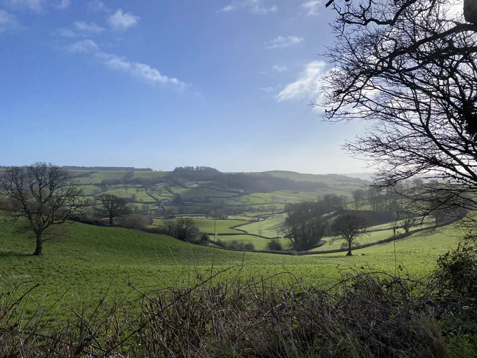 The Coly valley, East Devon