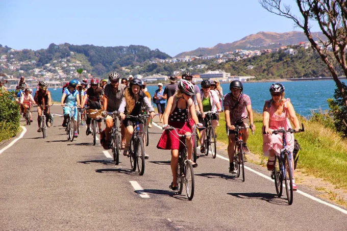 A group of people biking in the sun along the Miramar Peninsula coastal road. 