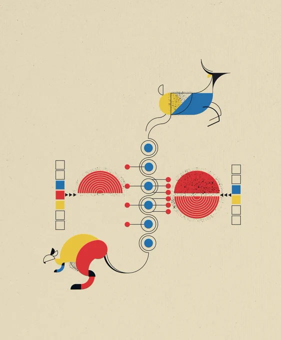 Here we witness a vivid representation of those two concepts at play in the nucleus.  PRC2 component SUZ12 is present in two alternative splicing isoforms depending on SUZ12 fourth exon (represented by squares) On the one hand, the ancestral isoform mainly acts in a monomeric complex (red semicircle) – that methylates nucleosomes on vast portions of the genome. On the other hand, the novel isoform is able to focus PRC2 activity on gene promoters, by favoring PRC2 dimerization. Exon 4 is constitutively included in non-placentals vertebrates ( kangaroo) only becomes alternative in placental mammals (deer) where the two isoforms are coexpressed and contribute to modify chromatin. 
