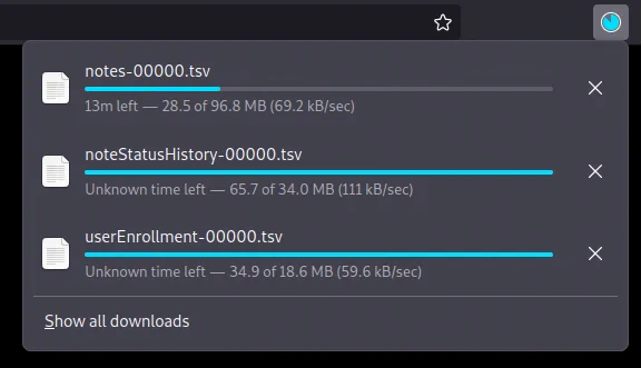 Two files being downloaded showing the downloaded size greater than the file size