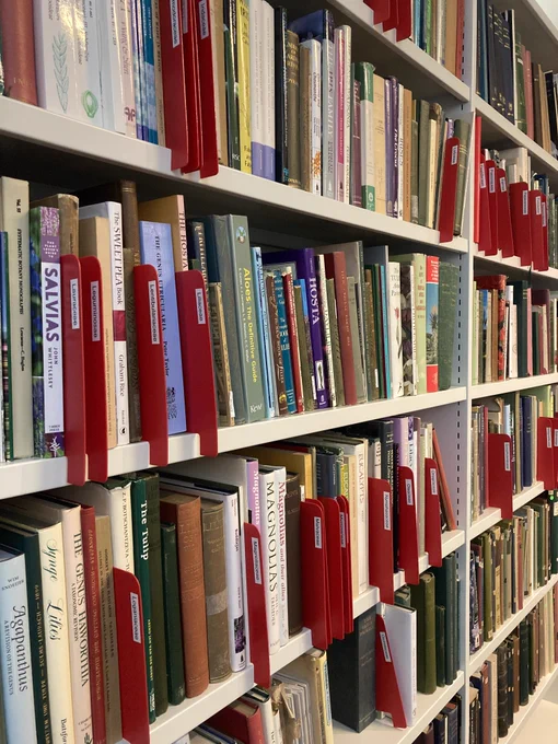 Bookshelves with red dividers separating different book collections based on what plants they describe.