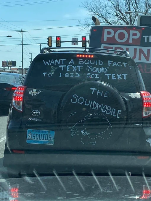 A photo through a car windshield of the Squidmobile (license plate SQUIDS, drawing of a squid, squid fact hotline written on rear windshield)