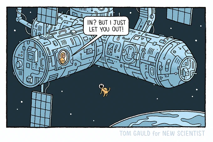 A view of the International Space Station. A cat in a space suit floats outside. An astronaut within the station looks out of a window and says "In? But I just let you out."