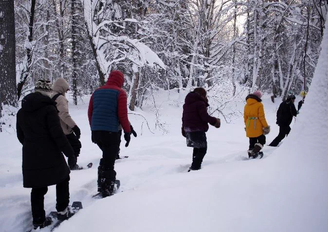 A line of people snowshoeing through the forest. 