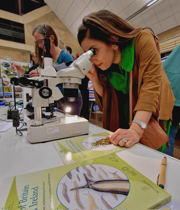 A woman (Geeta) at the Benson Nature event studying the microbes in soil at the Benson Nature Event. The woman is looking through a microscope at soil insects.  