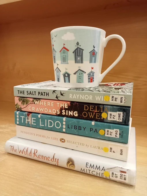 A stack of books against a brown wooden background. On top of the books is a mug with several colourful beach huts on.
