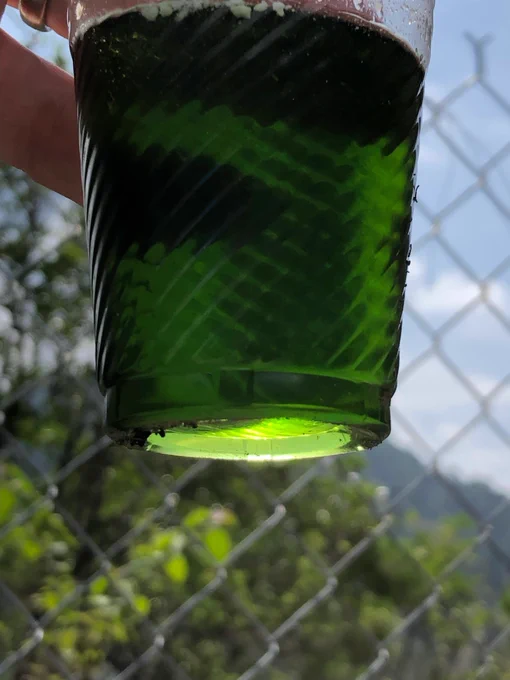 Leachate solution containing copper