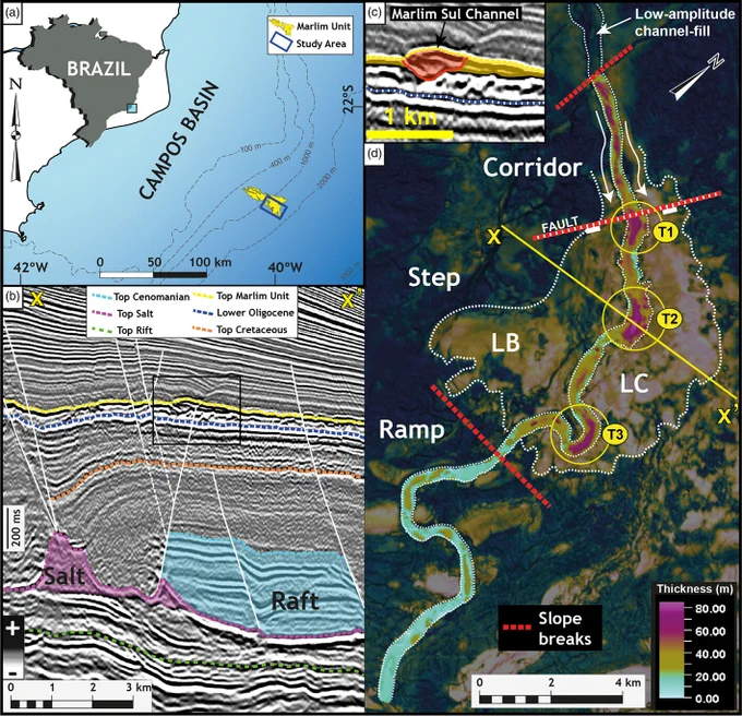 Fig. 1. (a) Location map of the Campos Basin and the study area within the Marlim Unit (blue rectangle).