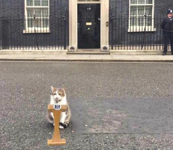 Larry at Downing Street podium