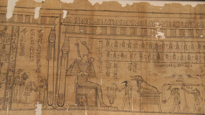 Papyrus photo by Gary Todd via Flickr.