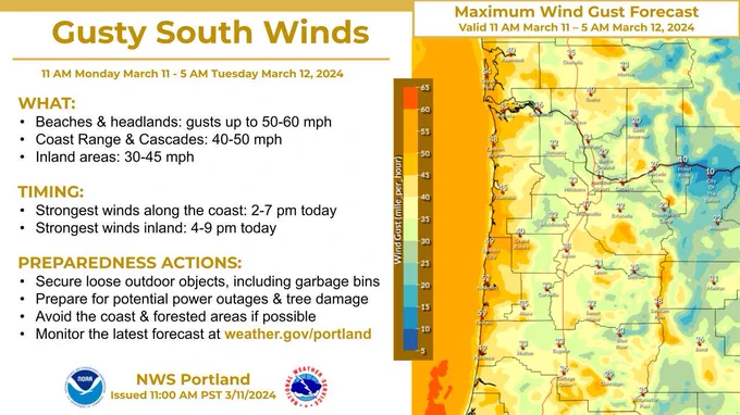 Gusty South Winds 11 AM Monday March 11 to 5 AM Tuesday March 12, 2024. Map on the right shows the maximum wind gusts during this time period. WHAT: Beaches and headlands: gusts up to 50 to 60 mph. Coast Range & Cascades: 40 to 50 mph. Inland areas: 30 to 45 mph. TIMING: Strongest winds along the coast: 2 to 7 pm today. Strongest winds inland: 4 to 9 pm today. PREPAREDNESS ACTIONS: Secure loose outdoor objects, including garbage bins. Prepare for potential power outages and tree damage. Avoid the coast and forested areas if possible. Monitor the latest forecast at the website weather.gov/portland.