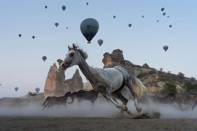 Horses run across dirt with a large rock formation and dozens of hot air balloons in the background.