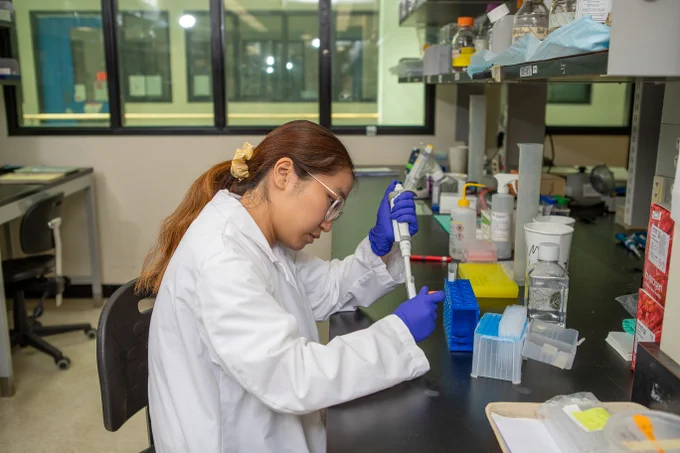 A student researcher wearing a white lab coat uses a micropipette in a McMaster University research space with the Centre for Discovery in Cancer Research. 