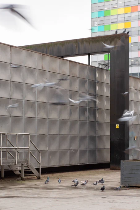 Photograph of a section of the Michael Faraday Memorial, a large, squat metal building covered in indented squares of metal, with pigeons on the floor and blurred flying in front. There is a small staircase to the left and at the top right a towerblock with colourful squares on it can be seen behind.