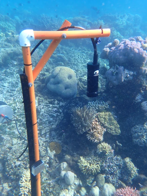 Underwater acoustic recording devices on the Great Barrier Reef