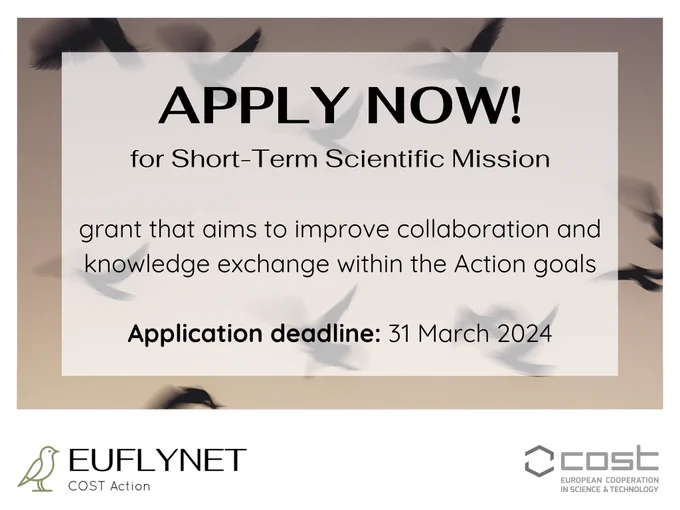 This image features an advertisement for a scientific grant opportunity called "Short-Term Scientific Mission." The text, which is the main focus, announces "APPLY NOW!" and details the application deadline as "31 March 2024." The flyer features a minimalist design with toned colors with subtle imagery of a bird in flight in the background. Logos for "EUFLYNET" with a bird icon and "COST Action," representing European Cooperation in Science & Technology, are at the bottom. 
