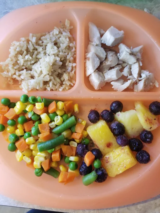 Photo of a plate with rice, vegetables, fruit, and chicken.