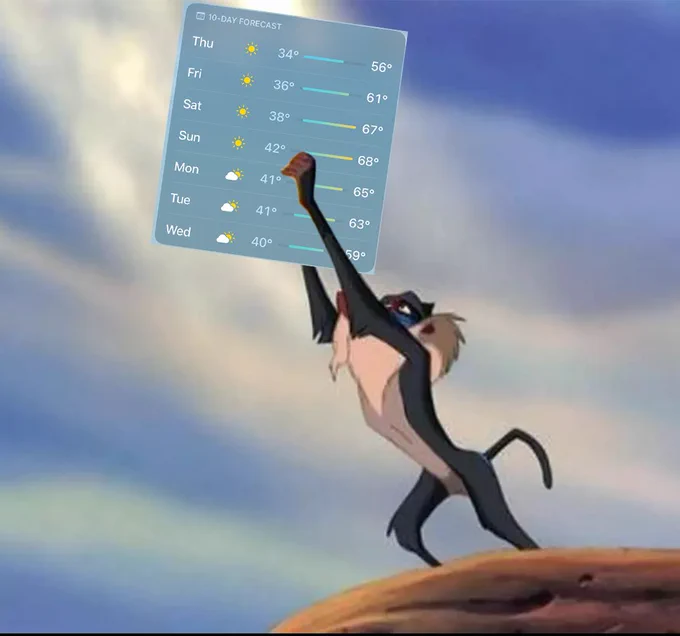 Rafiki hoists a 7-day weather forecast to the heavens from Pride Rock. The forecast calls for warm temperatures and sun. The people of Washington state celebrate by cawing, screeching, and trumpeting from their trunks.