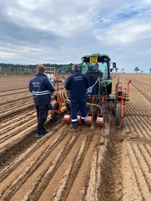 NIAB staff drilling an onion variety trial in Norfolk.