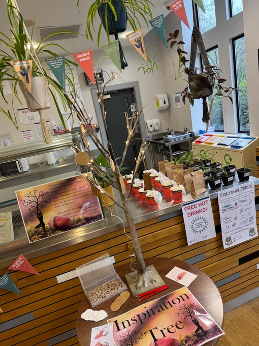 Chapters Kitchen display.