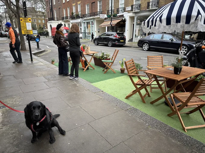 View from outside shops. Black Labrador sitting patiently and looking up at the camera.
