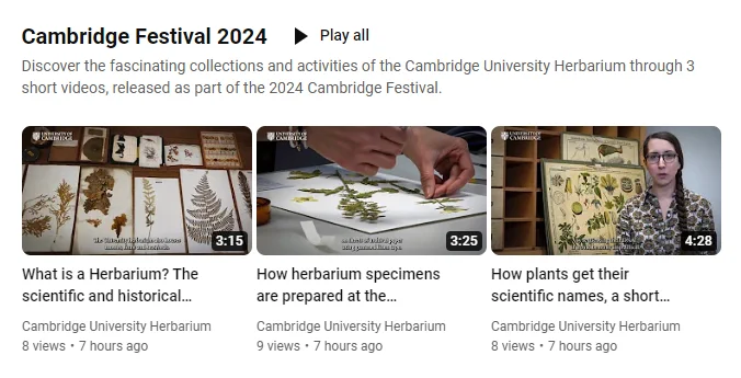 A screenshot of the previews of 3 videos on youtube. They are displayed in a Playlist entitled Cambridge Festival 2024.
