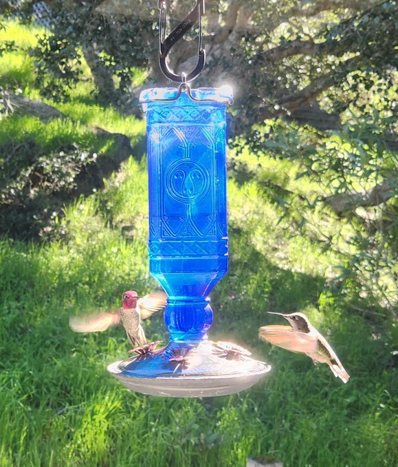 Two hummingbirds, one with a brilliant red head, face off around a blue glass feeder