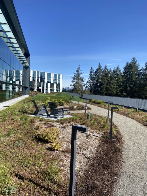 Blick auf das begrünte und begehbare Dach von Microsoft Building 3 in Redmond