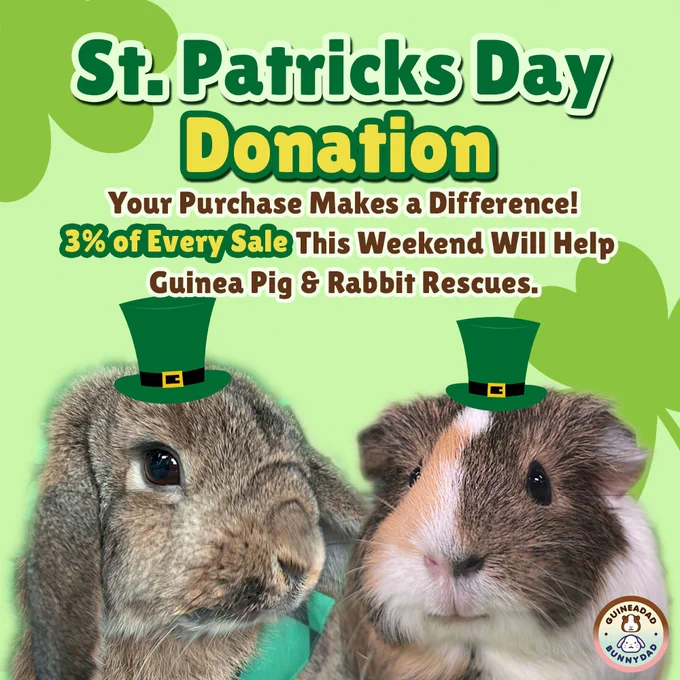 Celebrate #StPatricksDay with a purpose! ☘ Shop at GuineaDad.com this weekend, get an automatic entry to a GOLDEN TICKET, and support rescues. Inspired by the 3 leaves of a shamrock, 3% of every sale aids guinea pig & rabbit rescues. Together, let's make a difference! 🐰🐹 #LuckOfTheIrish #rescues #guineapigs #rabbits #GuineaDad #BunnyDad #Petcare
