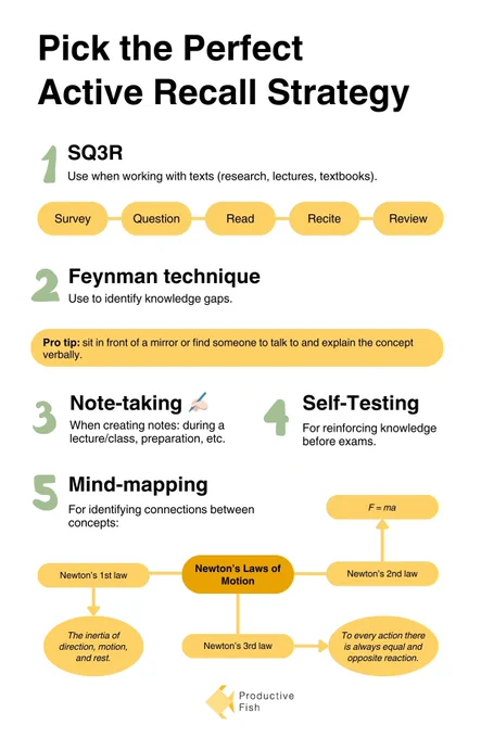 Pick the perfect active recall strategy: SQ3R, Feynman technique, Notetaking, Self-testing, Mind-mapping. Productivity and learning techniques with examples of usage for studying and worrk.