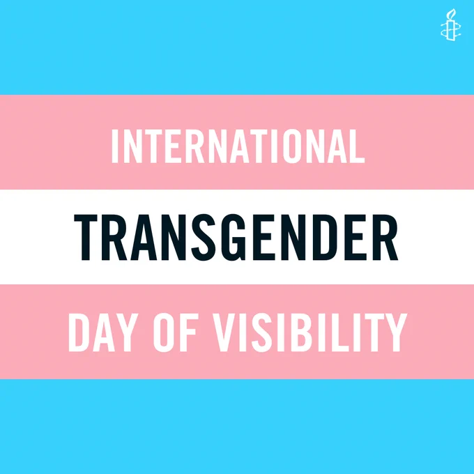 Transgender flag with writing that says "International Transgender Day of Visibility"