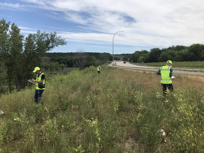 Article co-authors Ashley Darst, Luke Tonsfeldt, and Cate Patterson conducting butterfly, bumble bee, and plant surveys in a roadside (image credit Timothy Mitchell)
