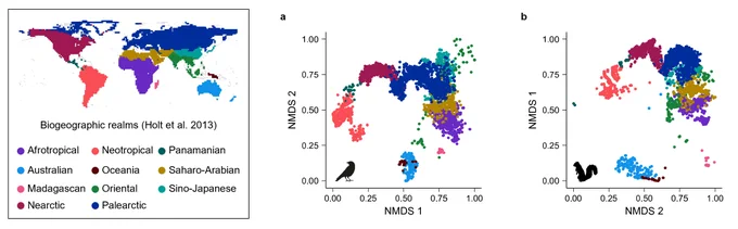 Phylobetadiversity turnover by realm for birds and mammals
