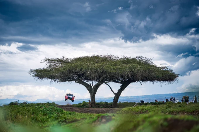 Neuville's blue and orange i20 mid air over a jump, dawrfed by a pair of trees dominating a flat grassland, against a very moody sky