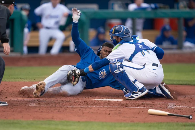 A play at home plate in a baseball game. The catcher , in a white uniform, is laying down the tag on the runner, whose face is visible and he looks anguished
