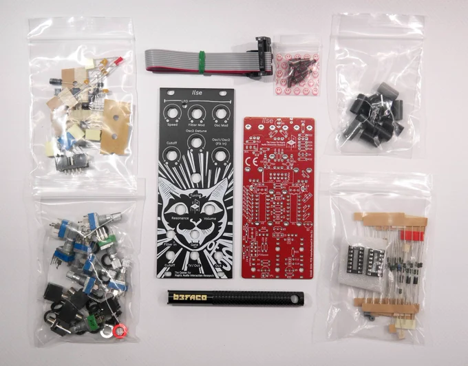 ILSE analog synthesizer full kit. 