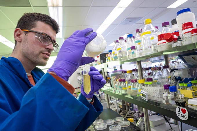 In the lab at the Joint BioEnergy Institute, Hill-Maini assesses a liquid culture of fungi that he is investigating as a meat alternative.