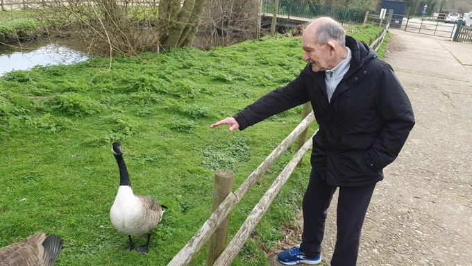 Home Instead Client enjoying a visit to Standalone Farm