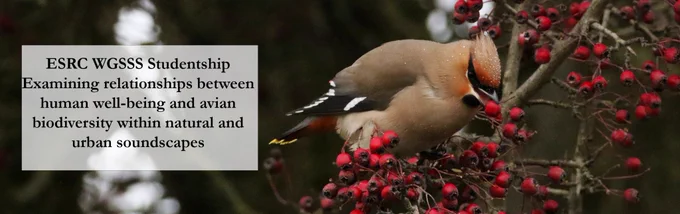 A photo of a Waxwing, captioned:
ESRC WGSSS Studentship
Examining relationships between human well-being and avian biodiversity within natural and urban soundscapes